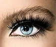 Lash Extension Hybrid