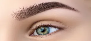 Ausbildung Microblading - Rolling - Brows