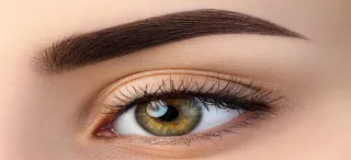 Ausbildung Microblading - Tapping - Shading